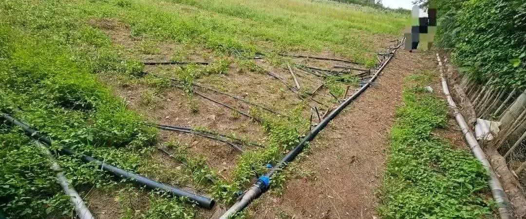 20 ACRES WITH A MODERN 5-BEDROOM HOME FOR SALE – KIPLOMBE (NEAR KAPLELACH), ELDORET