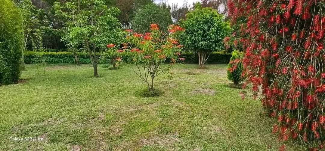 20 ACRES WITH A MODERN 5-BEDROOM HOME FOR SALE – KIPLOMBE (NEAR KAPLELACH), ELDORET
