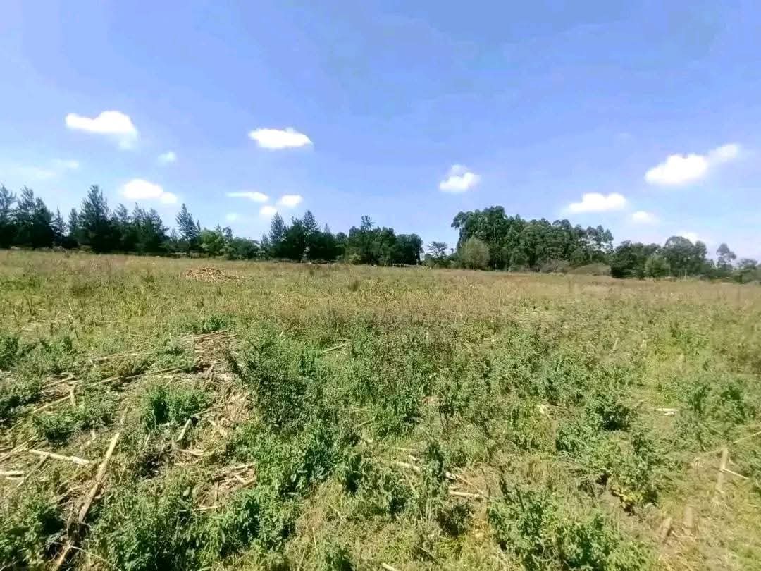 PRIME RESIDENTIAL PROPERTY FOR SALE – SOY, KAKAMEGA