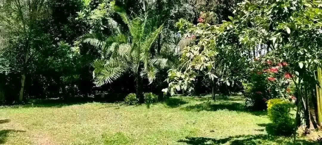 PRIME RESIDENTIAL PROPERTY FOR SALE – SOY, KAKAMEGA