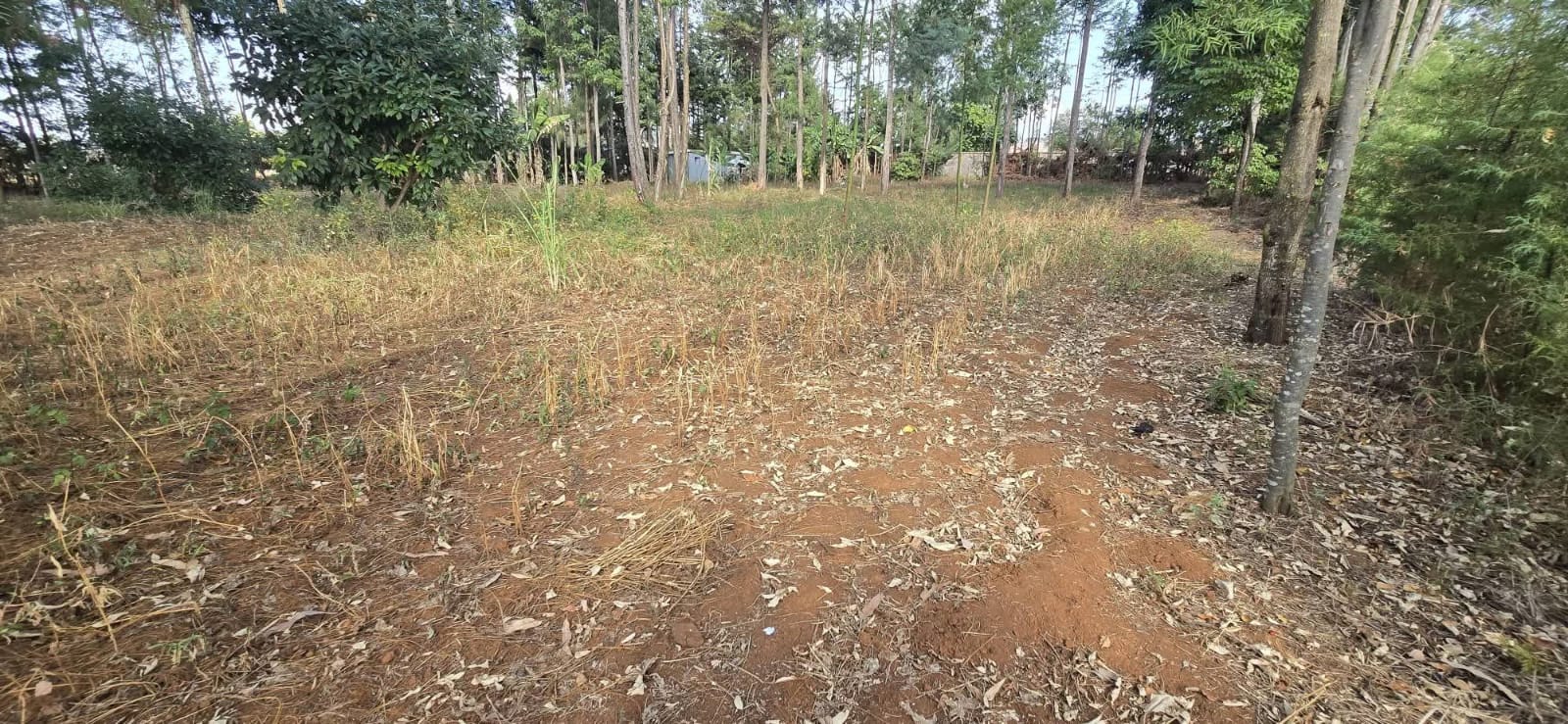 PRIME ½ ACRE PLOT FOR SALE – UPPER ELGON VIEW, ELDORET