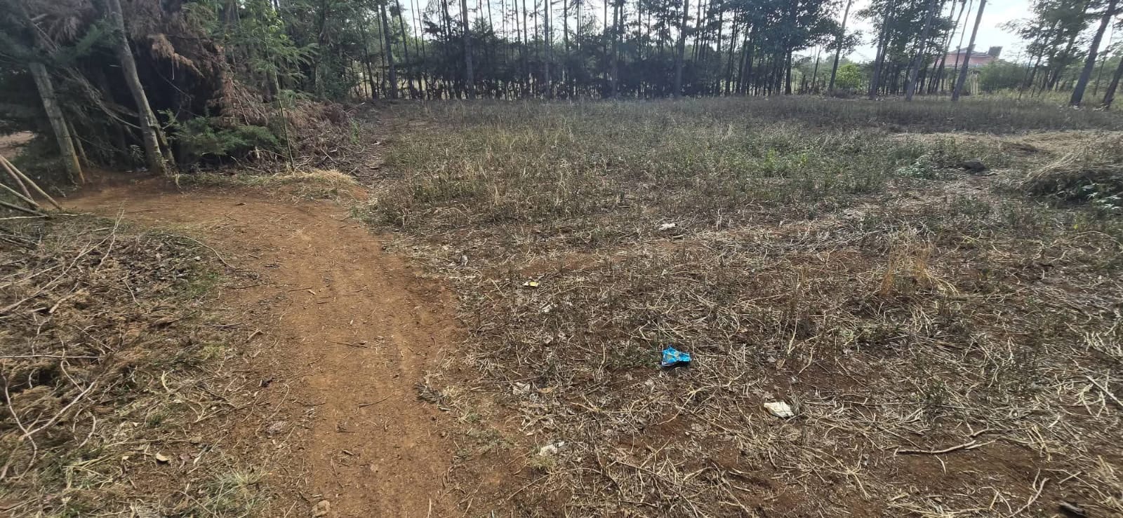 PRIME ½ ACRE PLOT FOR SALE – UPPER ELGON VIEW, ELDORET