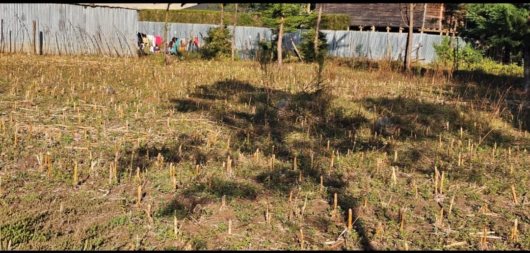 PRIME ¼ ACRE COMMERCIAL PLOT FOR SALE – ANNEX, ELDORET