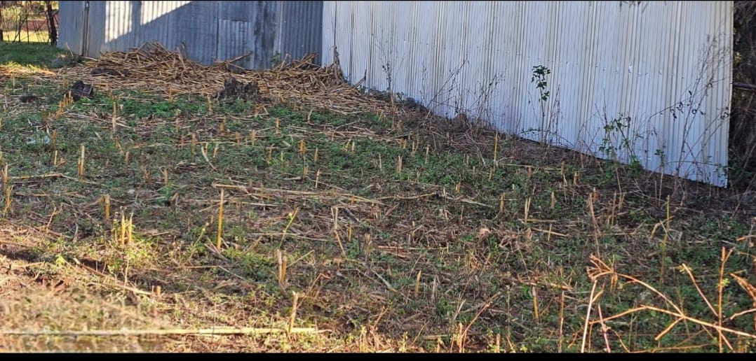 PRIME ¼ ACRE COMMERCIAL PLOT FOR SALE – ANNEX, ELDORET