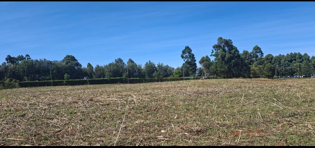 ¼ Acre Prime Commercial Plot for Sale – Annex Bethel, Eldoret